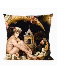 CELENIUS Cushion 2