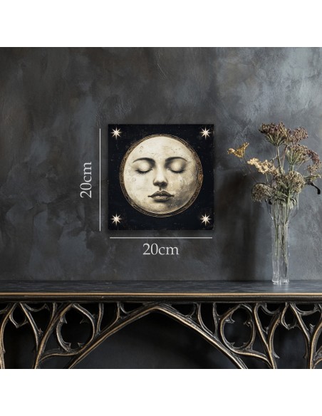 TABLEAU LUNA 20x20 cm