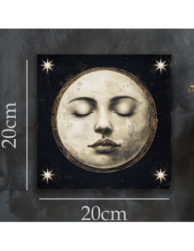 TABLEAU LUNA 20x20 cm