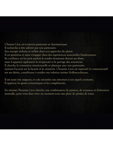 HOUSSE DE COUSSIN LION 50x50 cm