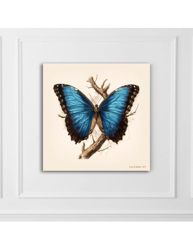 MORPHO PRINTED CANVAS  20x20 cm