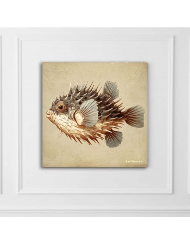 TABLEAU DIODON 20x20 cm