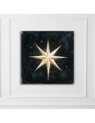 ESTRELLA PRINTED CANVAS 20x20 cm