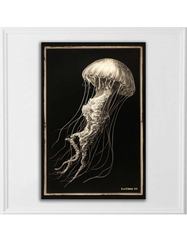 TABLEAU MEDUSE  20x30 cm
