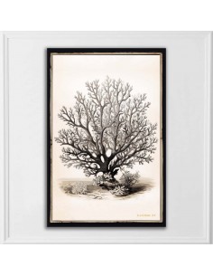 TABLEAU BLACK CORAL  20x30 cm